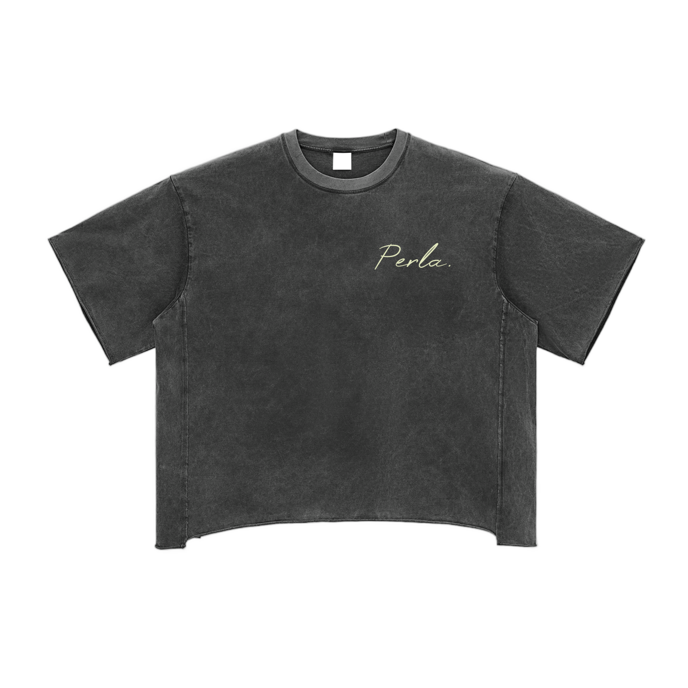 Boxy Fit Snow Washed T-Shirt